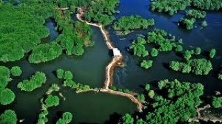 Đề án điều chỉnh phát triển du lịch sinh thái dưới tán rừng