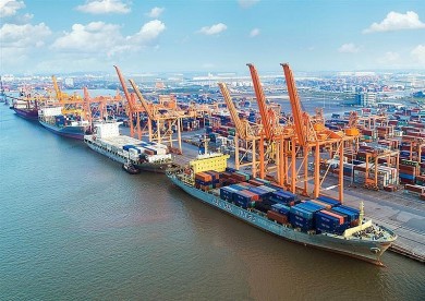 Phương án điều chỉnh quy mô đối với dự án xây dựng cảng nội địa